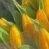 🤩