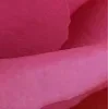 🤩