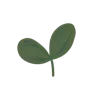 🌱