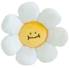 🌼