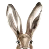 🐰