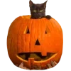 🎃