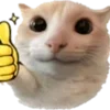 🐈