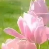 🤩
