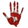 🖐
