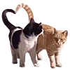 🐈