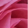 🤩