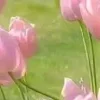 🤩