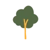 🌳