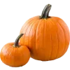 🎃
