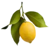 🍋