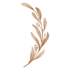 🌿