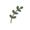 🌿