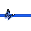 〰️