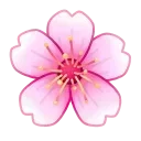 🌸