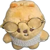 👓