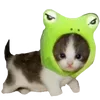 🐸