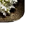 💐