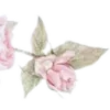 🌸