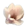 🌸