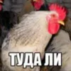 🐓