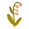 🌷