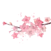 🌸