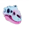 🦴