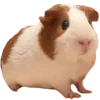 🪐