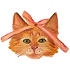 😺