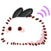 🐰