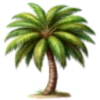 🌴