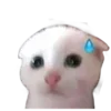 😰