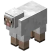 🐑