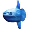 🌊