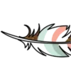 🪶