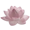🌸