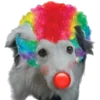 🤡