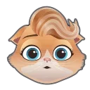 🐈