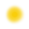 🟡