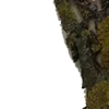 🪶