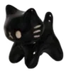 🐱
