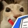 🗒