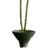 🌱
