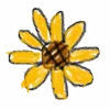 🌼