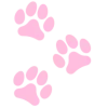 🐾