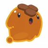 🍯