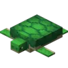🐢