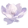 🌺