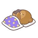 😴